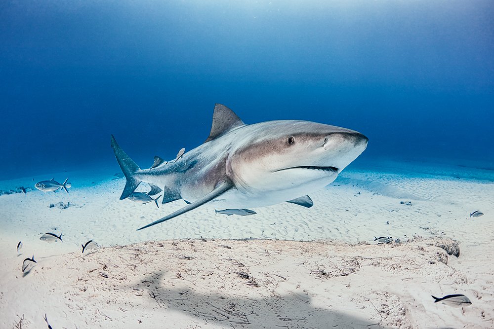 Photograph by Mizael Palomeque