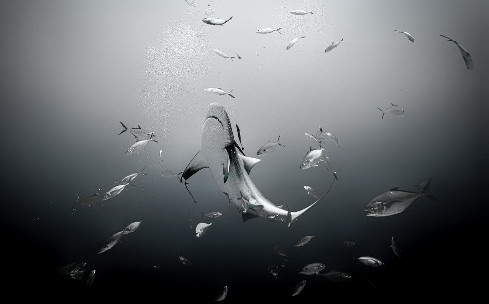 Photograph by Mizael Palomeque