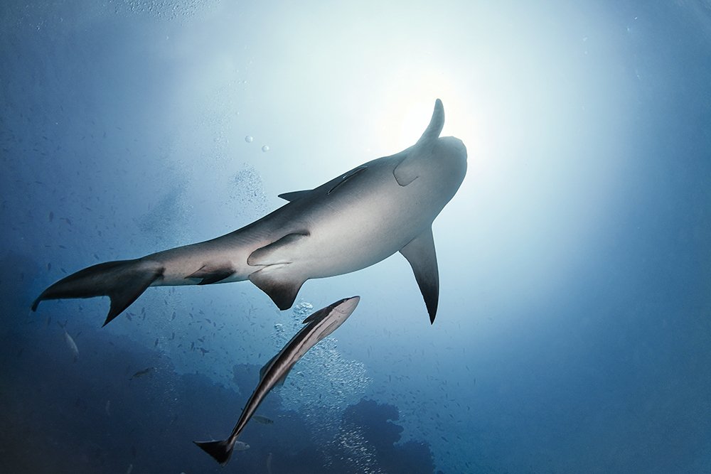 Photograph by Mizael Palomeque