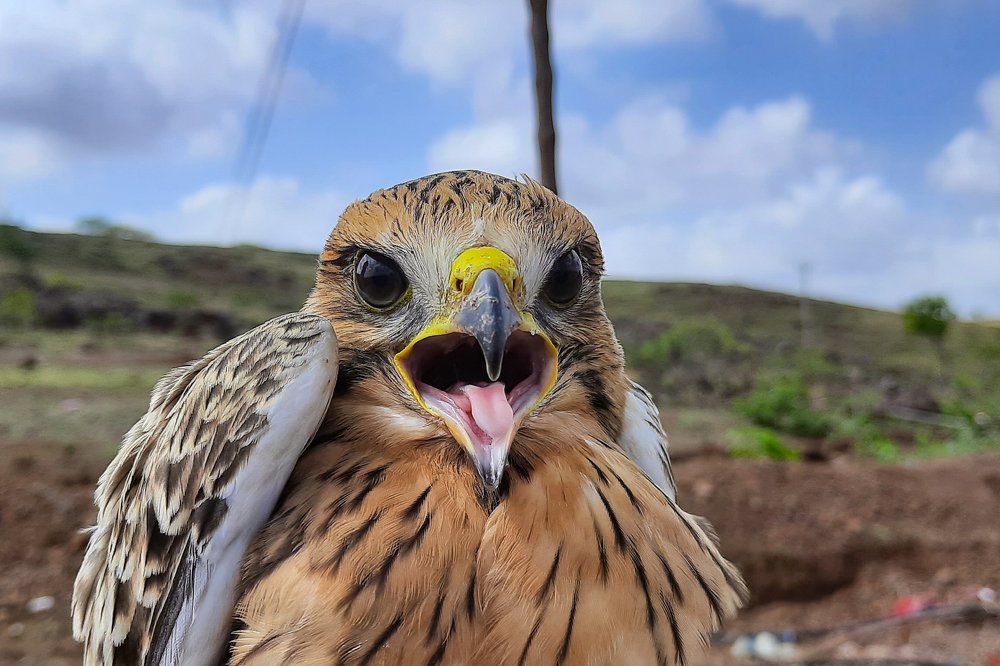 Want to see world flying with my wings