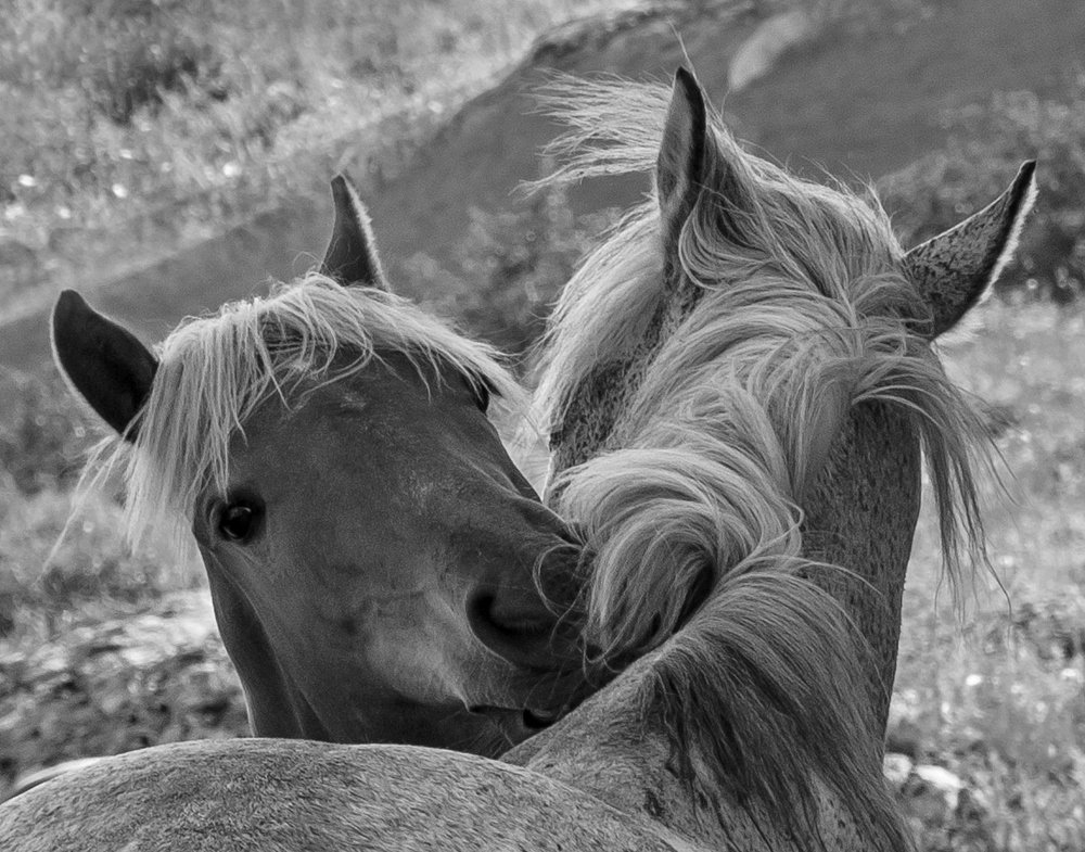 Ещё раз про любовь