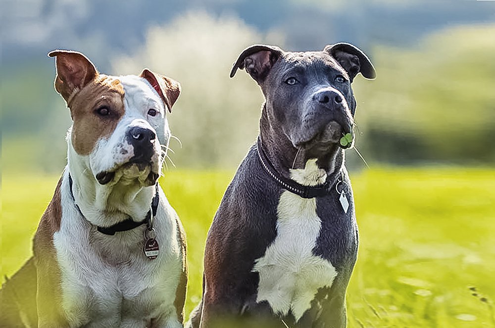 Photograph by Elena Gebert