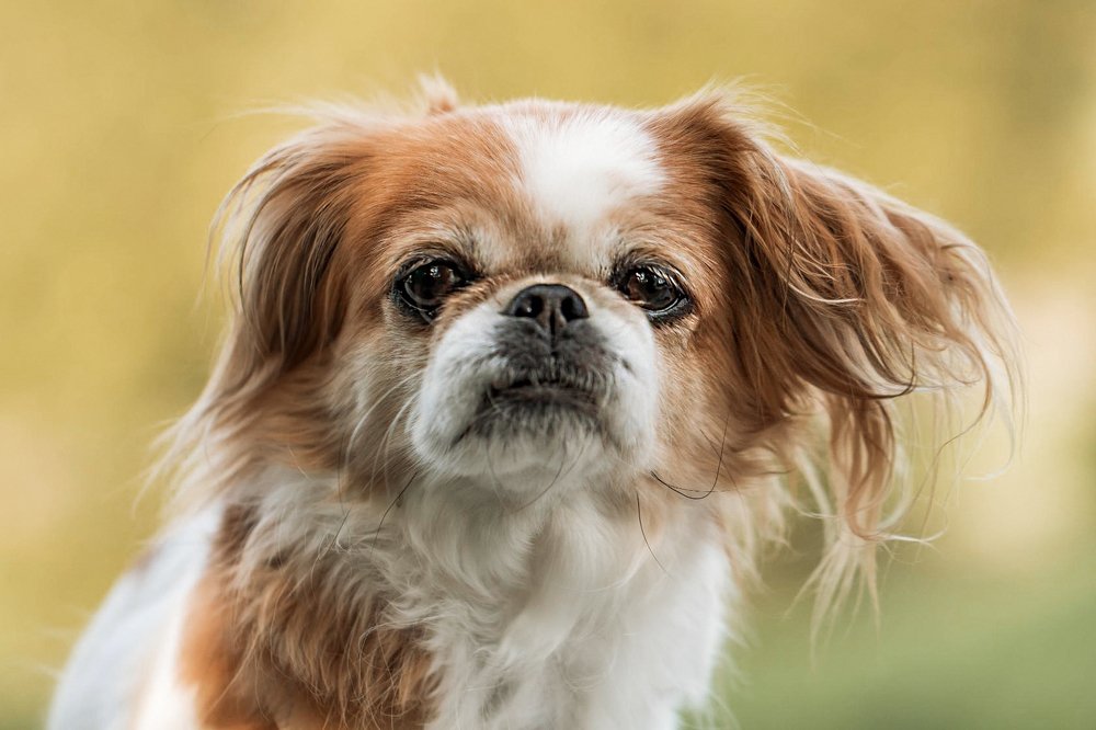 Photograph by Elena Gebert