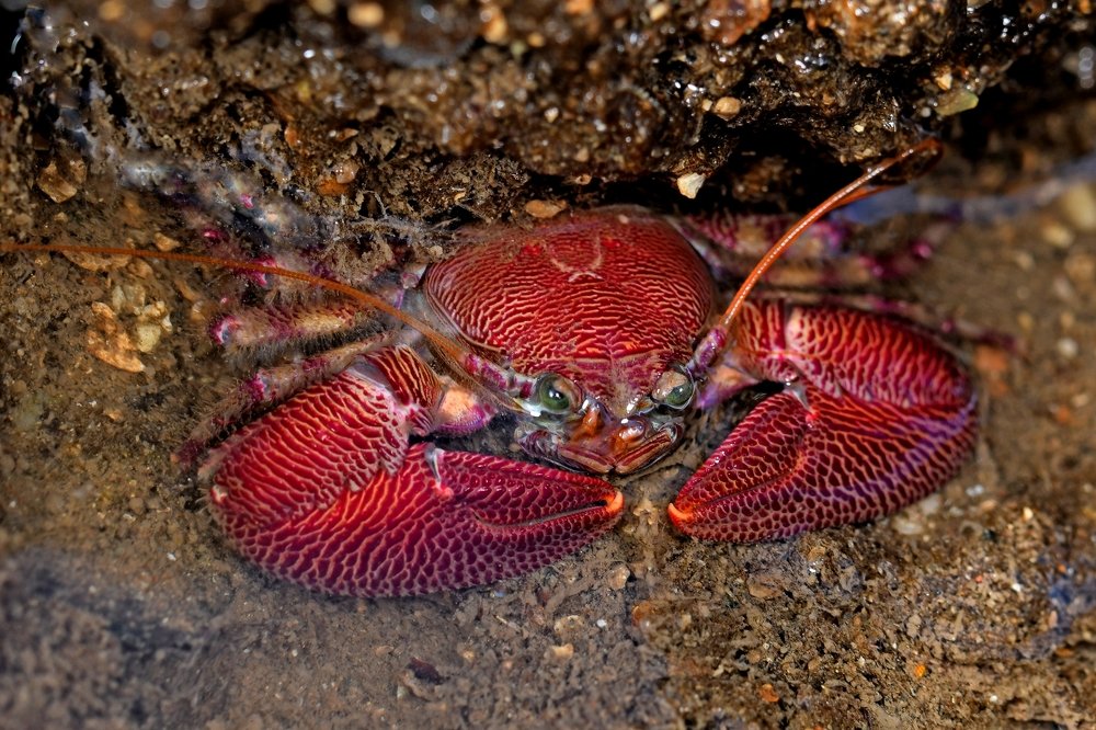 Photograph by Yuwaraj Gurjar