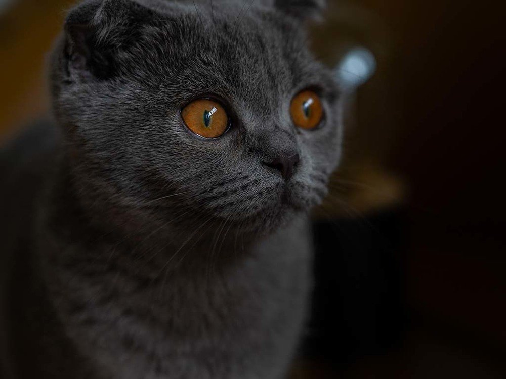 Photograph by Роман Алексеев