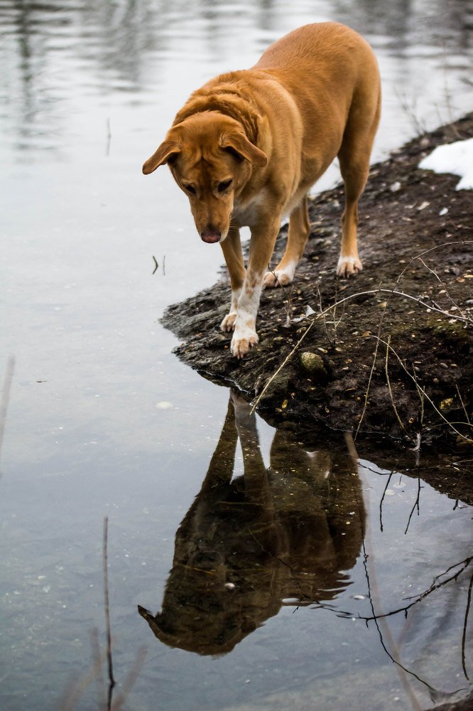 Фотография автора Suzana Svecnjak