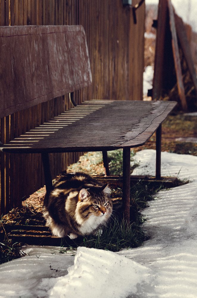 Photograph by Мария Блинова