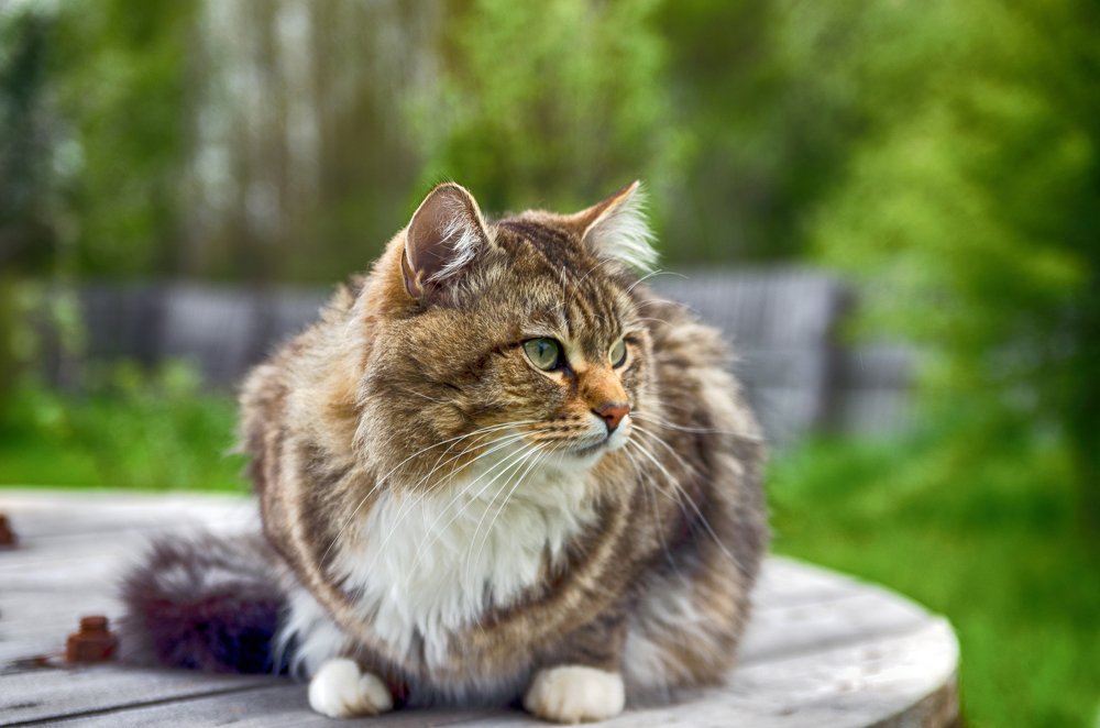 Photograph by Мария Блинова