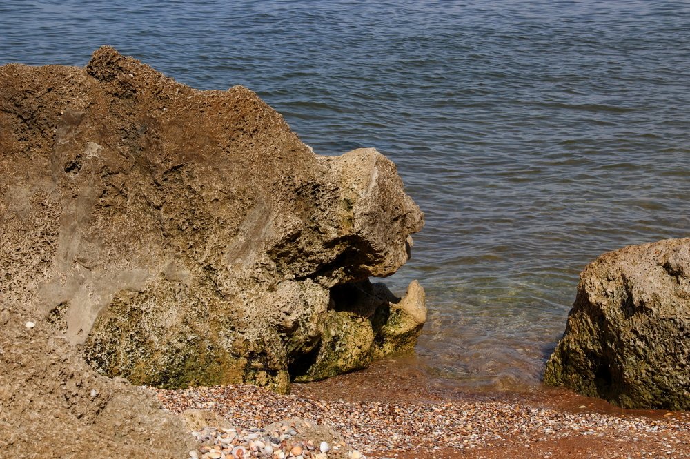 Photograph by Наталья Стальмакова