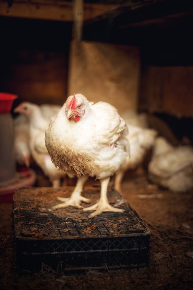 Photograph by Мария Блинова