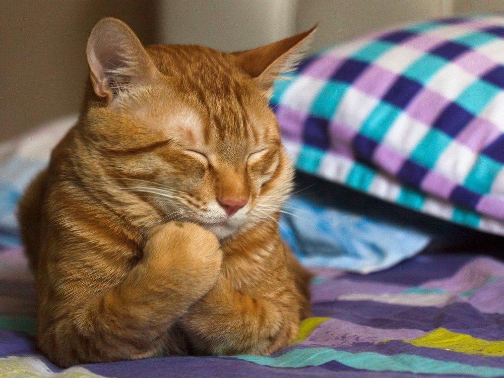 Photograph by Nargiza Karimova