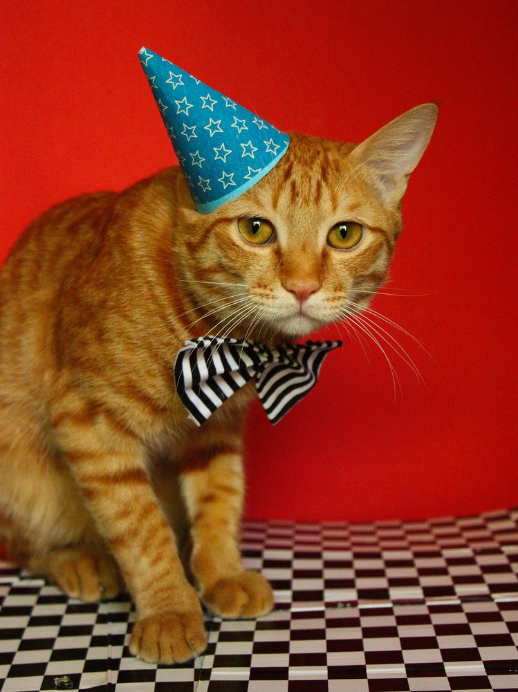 Photograph by Nargiza Karimova