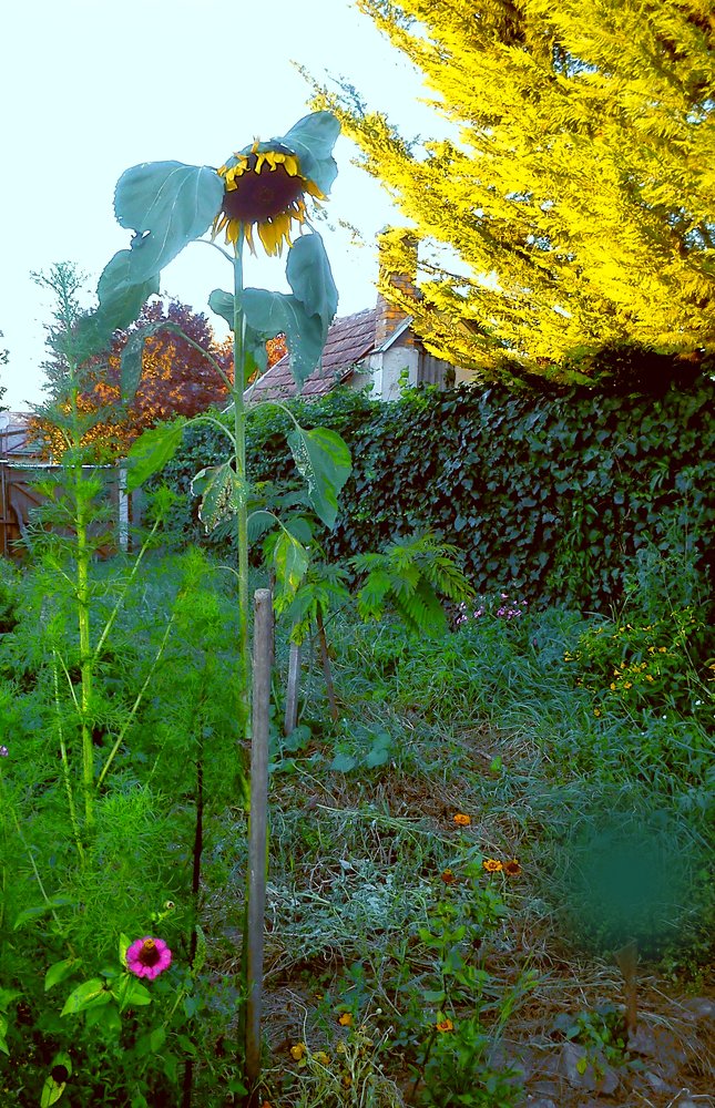 Photograph by eszter bodnár