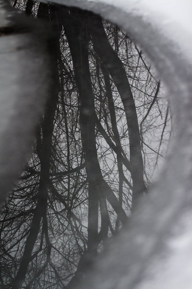 Фотография автора Suzana Svecnjak