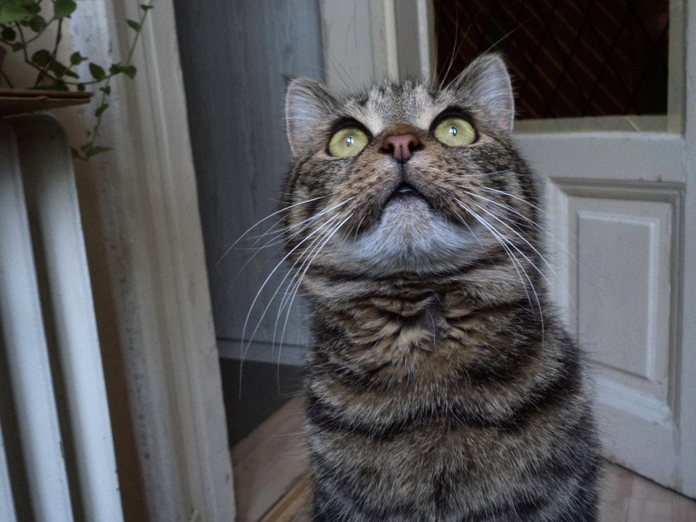 Photograph by eszter bodnár