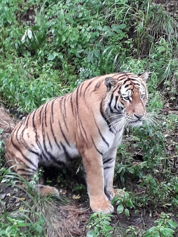 Photograph by  Людмила