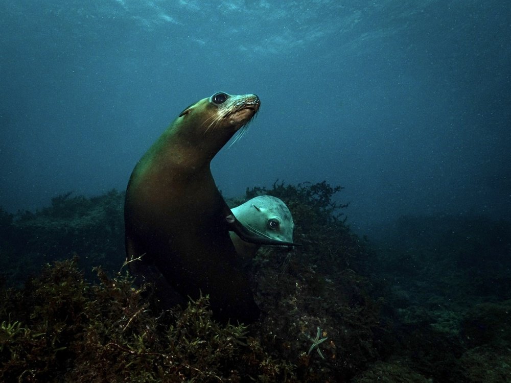 Photograph by Serge Melesan