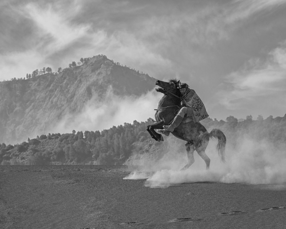 More Than Just A Horseman