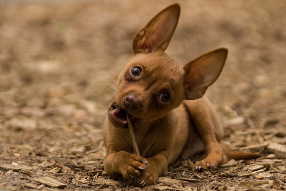 Photograph by Наталья Гайдукевич