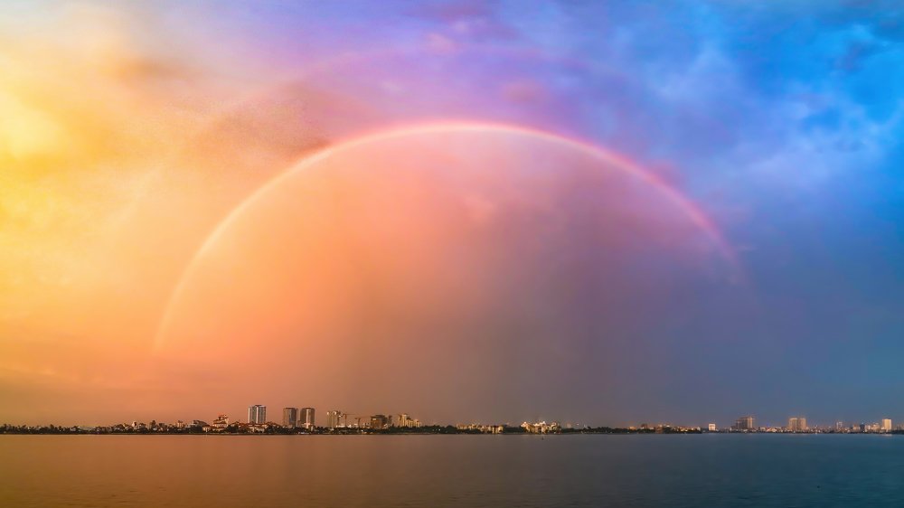 Photograph by Linh Tran