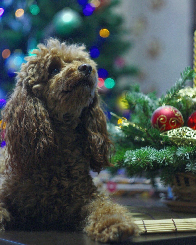 Photograph by Юлия Саморукова