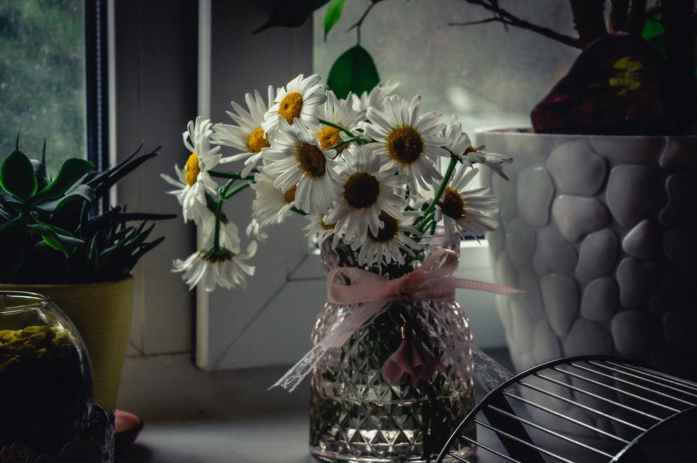 Фотография автора Пётр Чирков