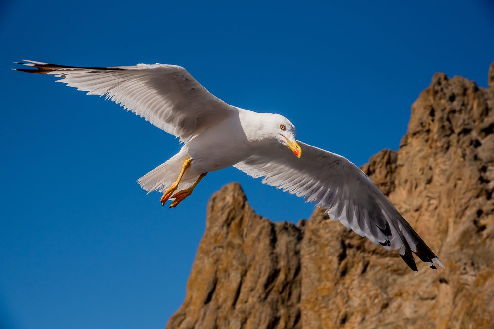 Пролетая над просторами Крыма