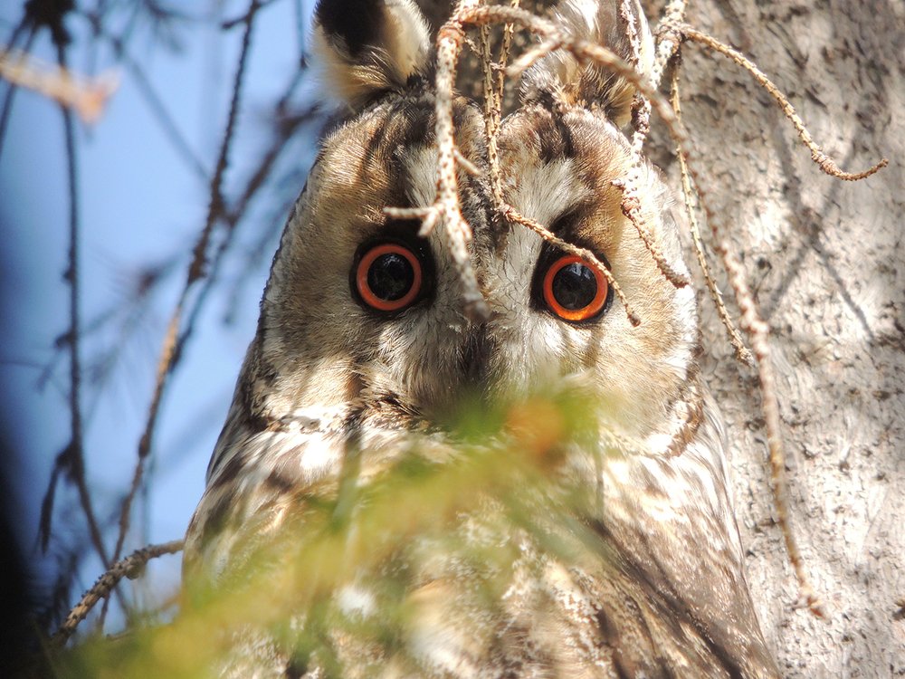 Photograph by Galina Bauer