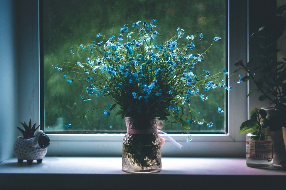 Фотография автора Пётр Чирков