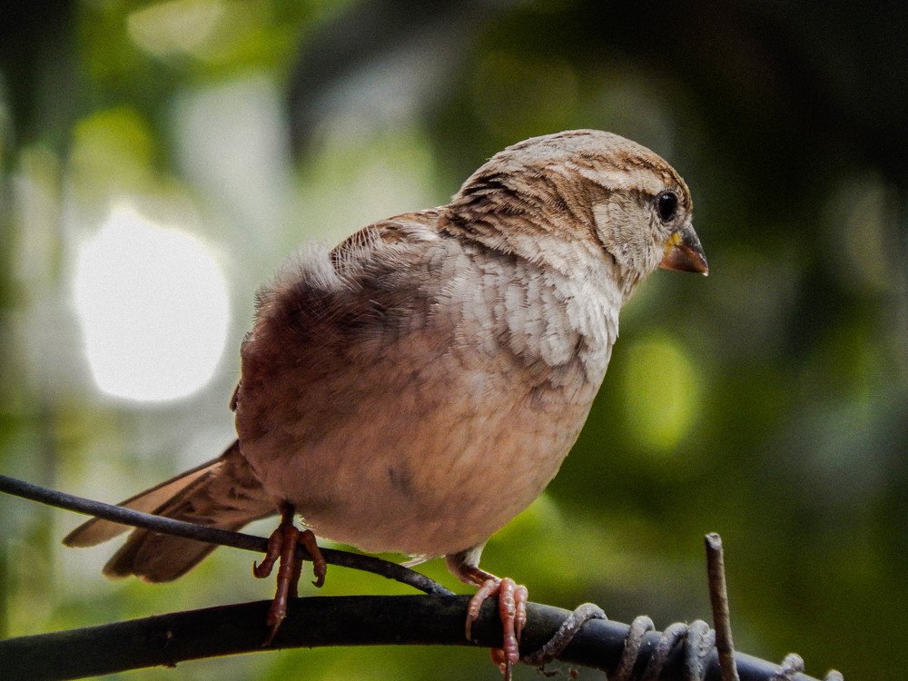 Photograph by Ahmed Abid