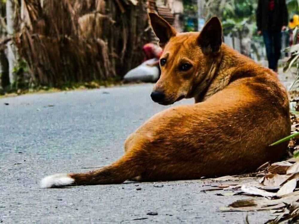 Photograph by Ahmed Abid