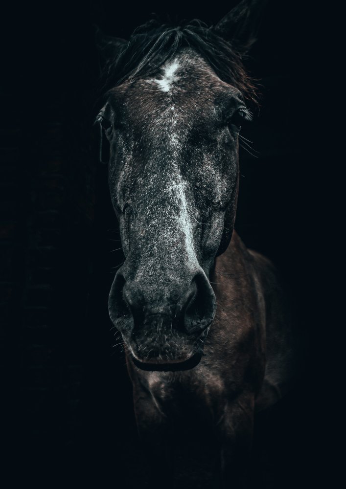 Фотография автора Пётр Чирков