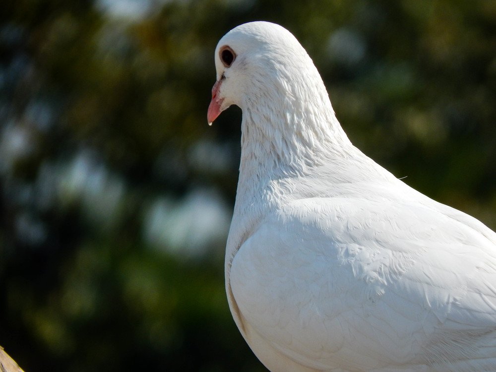 Photograph by Ahmed Abid