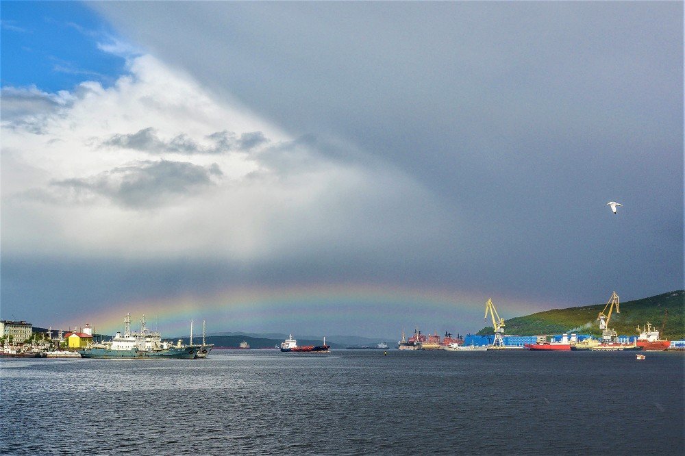 Ворота в залив