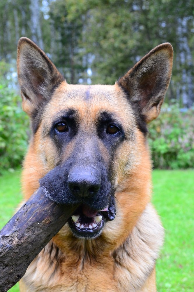 Photograph by Жанна Цветкова