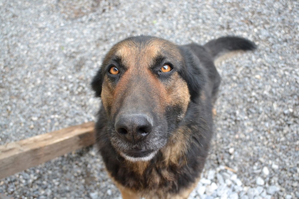 Photograph by Жанна Цветкова