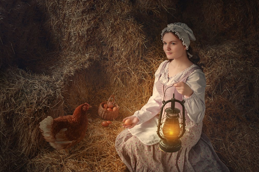 The tale of the magic chicken