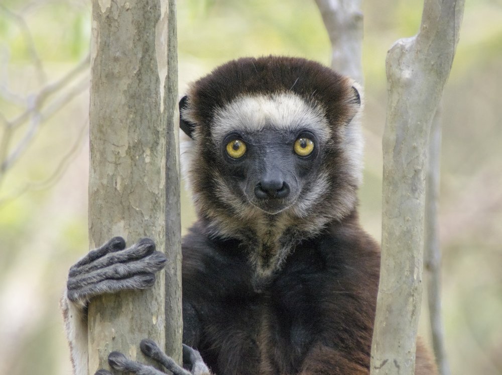 Мы с тобой одной крови!