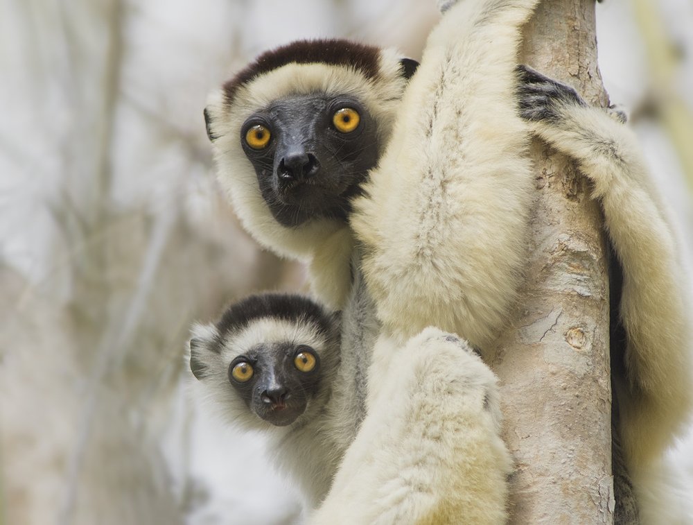 С матерью надёжнее