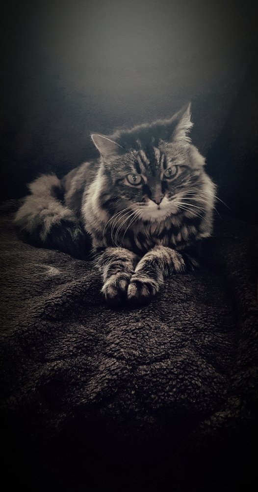 Фотография автора Rasa Zdaniene