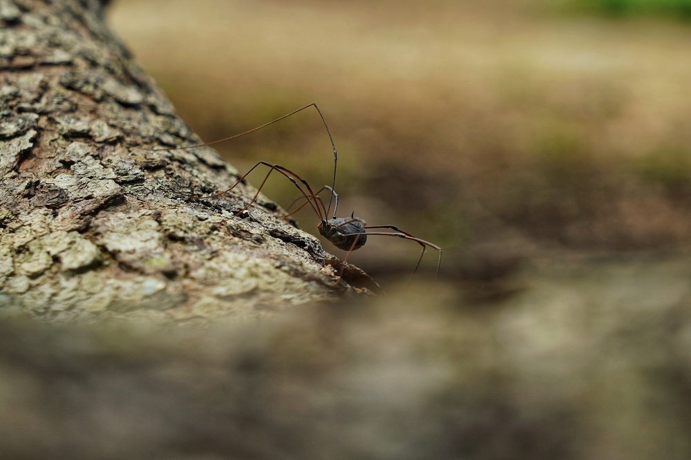 Photograph by Tu Henry