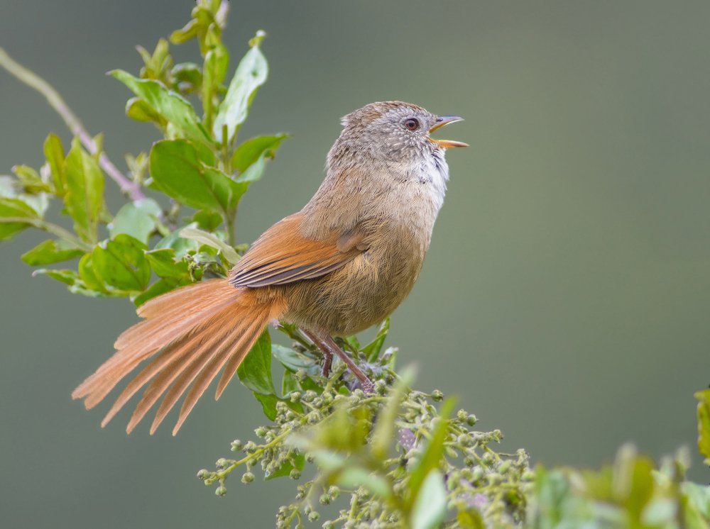 Photograph by Сергей Волков