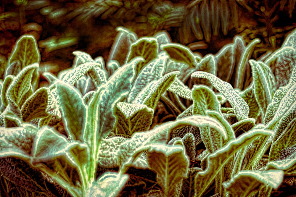 Photograph by Tatyana Semenova