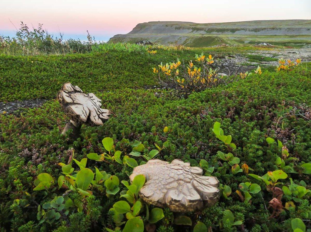 Photograph by Сергей Козинцев