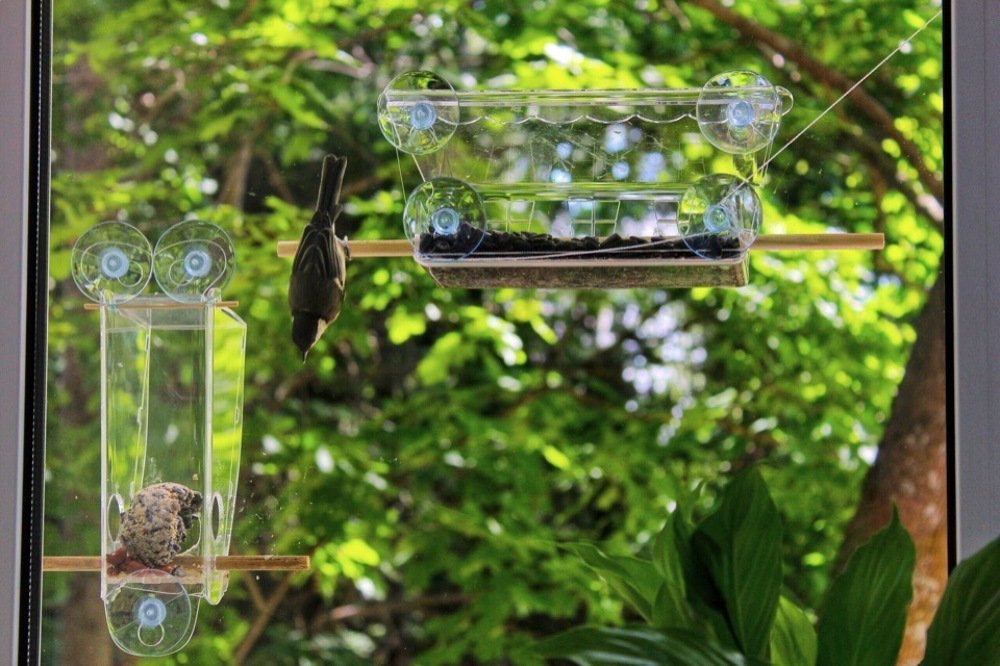 Photograph by Ирина Леонова