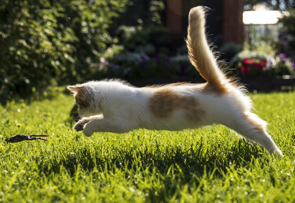 Photograph by Наталья Викарчук