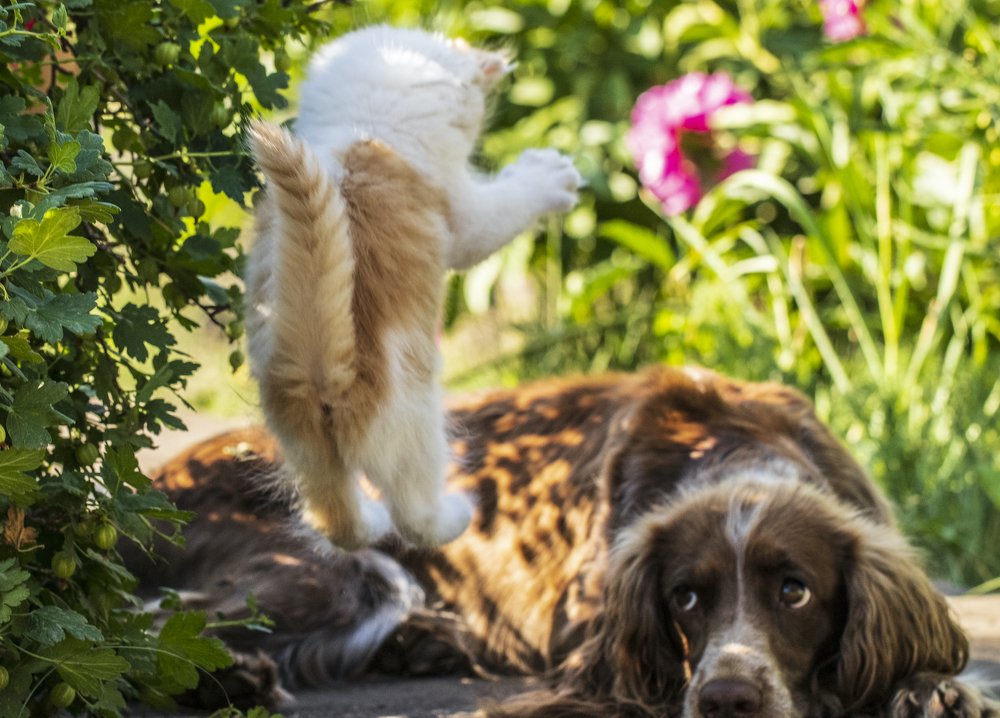 Photograph by Наталья Викарчук