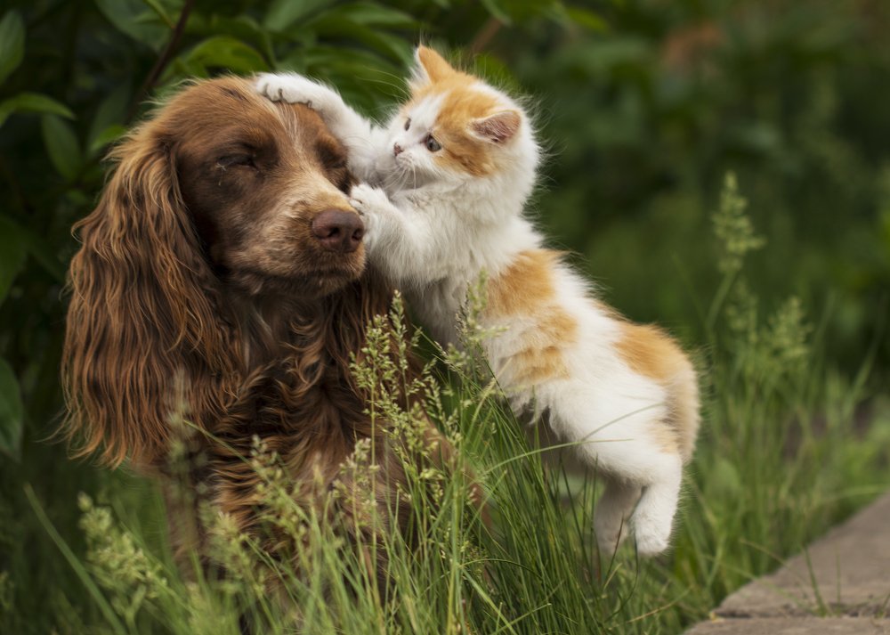 Photograph by Наталья Викарчук