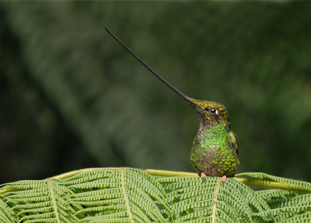 Photograph by Сергей Волков
