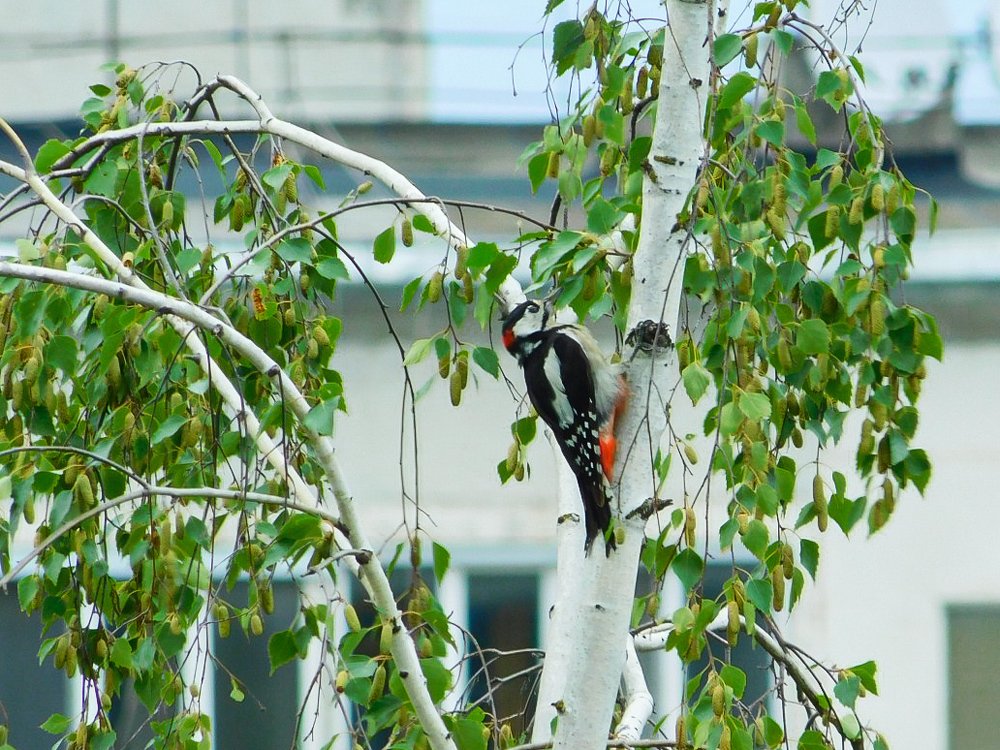 Photograph by Юлия Закопайло